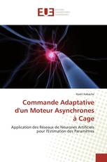 Commande Adaptative d'un Moteur Asynchrones à Cage