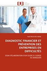 DIAGNOSTIC FINANCIER ET PRÉVENTION DES ENTREPRISES EN DIFFICULTÉS