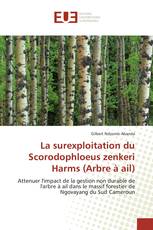 La surexploitation du Scorodophloeus zenkeri Harms (Arbre à ail)