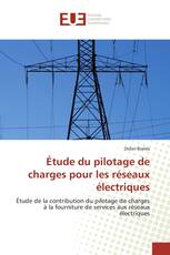 Étude du pilotage de charges pour les réseaux électriques