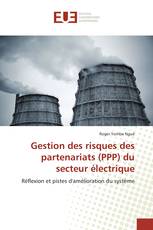 Gestion des risques des partenariats (PPP) du secteur électrique