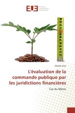 L'évaluation de la commande publique par les juridictions financières