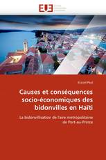 Causes et conséquences socio-économiques des bidonvilles en Haïti