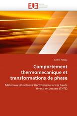 Comportement thermomécanique et transformations de phase