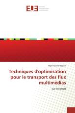 Techniques d'optimisation pour le transport des flux multimédias