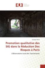 Promotion qualitative des SIG dans la Réduction Des Risques à Paris