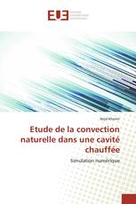 Etude de la convection naturelle dans une cavité chauffée