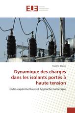 Dynamique des charges dans les isolants portés à haute tension