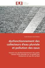 dysfonctionnement des collecteurs d'eau pluviale et pollution des eaux