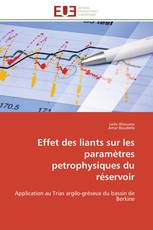 Effet des liants sur les paramètres petrophysiques du réservoir