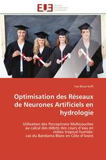 Optimisation des Réseaux de Neurones Artificiels en hydrologie