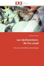 Les dysfonctions de l'os coxal