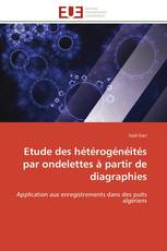 Etude des hétérogénéités par ondelettes à partir de diagraphies