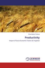 Productivity