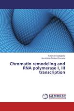 Chromatin remodeling and RNA polymerase I, III transcription