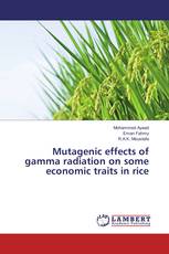 Mutagenic effects of gamma radiation on some economic traits in rice