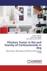 Pituitary Tumor in Rat and Toxicity of Corticosteroids in dog