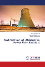Optimization of Efficiency in Power Plant Reactors