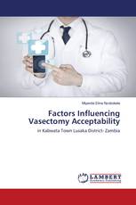 Factors Influencing Vasectomy Acceptability