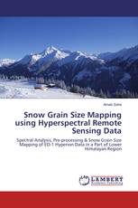 Snow Grain Size Mapping using Hyperspectral Remote Sensing Data