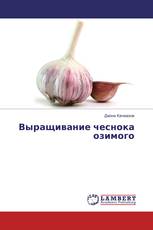 Выращивание чеснока озимого