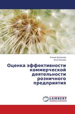 Оценка эффективности коммерческой деятельности розничного предприятия