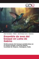 Ensamble de aves del bosque en Loma de Gabino