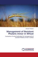 Management of Resistant Phalaris minor in Wheat