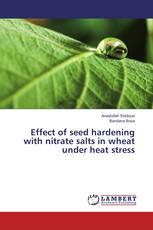 Effect of seed hardening with nitrate salts in wheat under heat stress