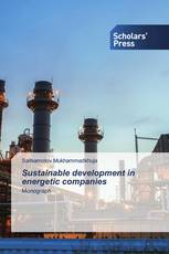 Sustainable development in energetic companies