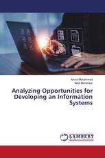 Analyzing Opportunities for Developing an Information Systems