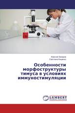 Особенности морфоструктуры тимуса в условиях иммуностимуляции