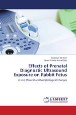 Effects of Prenatal Diagnostic Ultrasound Exposure on Rabbit Fetus