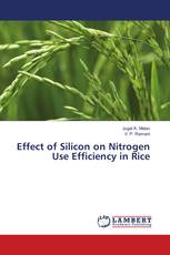 Effect of Silicon on Nitrogen Use Efficiency in Rice
