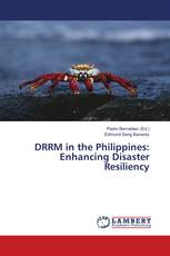 DRRM in the Philippines: Enhancing Disaster Resiliency