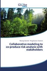 Collaborative modeling to co-produce risk analysis with stakeholders