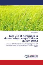 Late use of herbicides in durum wheat crop (Triticum durum Desf.)