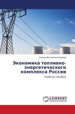 Экономика топливно-энергетического комплекса России