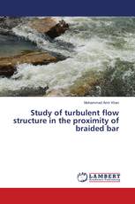 Study of turbulent flow structure in the proximity of braided bar