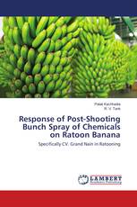 Response of Post-Shooting Bunch Spray of Chemicals on Ratoon Banana