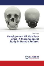 Development Of Maxillary Sinus- A Morphological Study in Human Fetuses