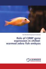 Role of CIRBP gene expression in chilled-warmed zebra fish embyos
