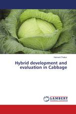 Hybrid development and evaluation in Cabbage