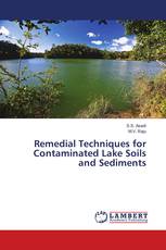 Remedial Techniques for Contaminated Lake Soils and Sediments