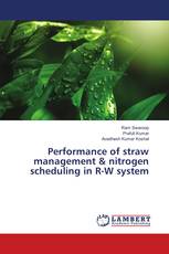 Performance of straw management & nitrogen scheduling in R-W system