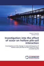 Investigation into the effect of scour on hollow pile-soil interaction