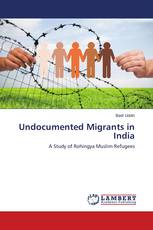 Undocumented Migrants in India