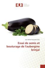 Essai de semis et bouturage de l'aubergine brinjal