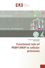 Functional role of PEBP1/RKIP in cellular processes