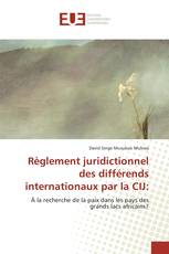 Règlement juridictionnel des différends internationaux par la CIJ: